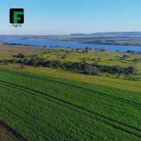 gf_agro_67821517_401924217125736_2850366485363274896_n
