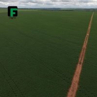 gf_agro_71213541_130310751270659_4706171795289581883_n